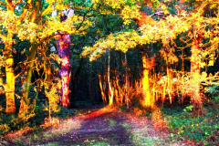 100_6839-Copy-1024x7681